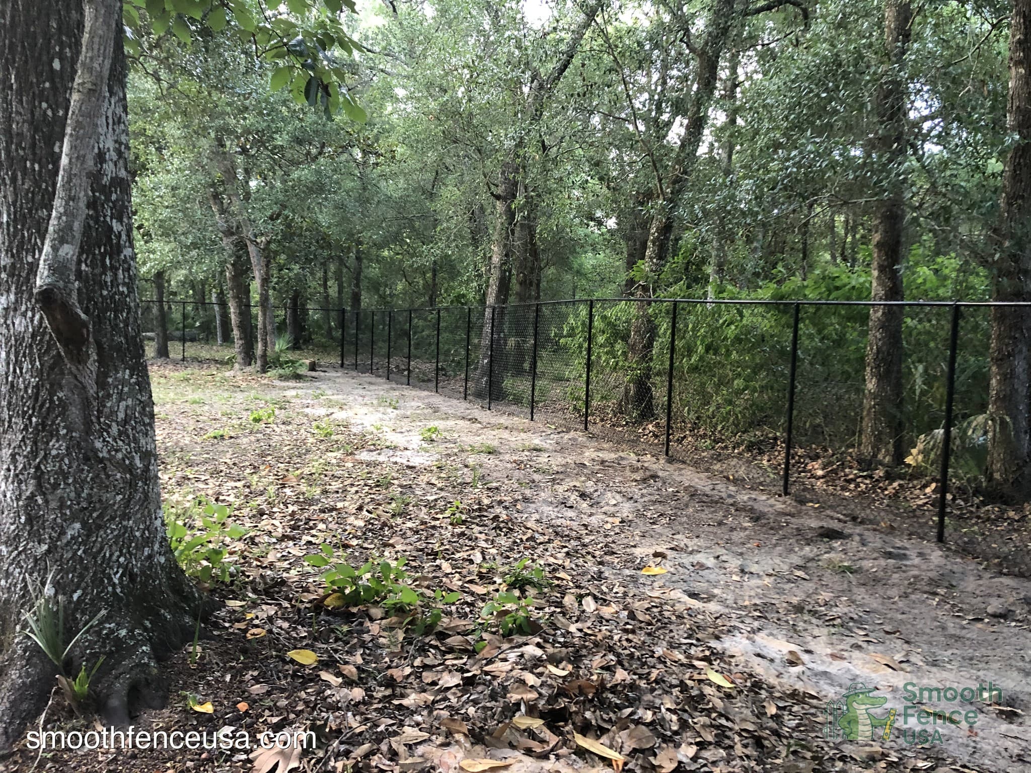 Chain Link Fence Perimeter Security